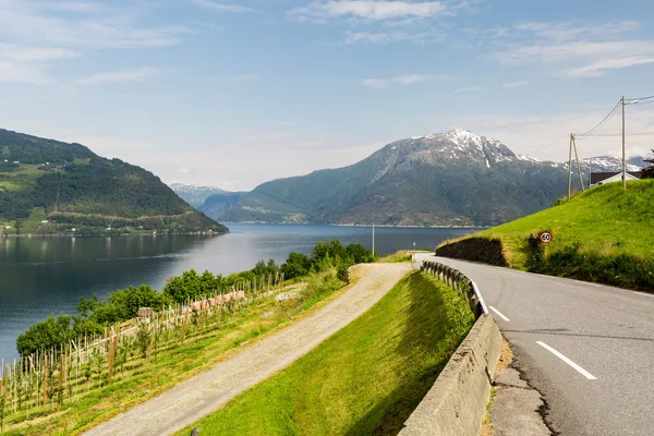 Landschap in de buurt van Hardangerfjord in Noorwegen — Stockfoto