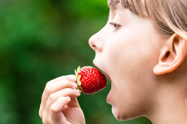 Dziecko jedzenie świeże czerwone truskawki — Zdjęcie stockowe