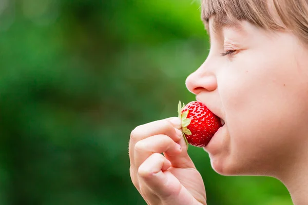 Dziewczynka jedzenie świeże czerwone truskawki — Zdjęcie stockowe