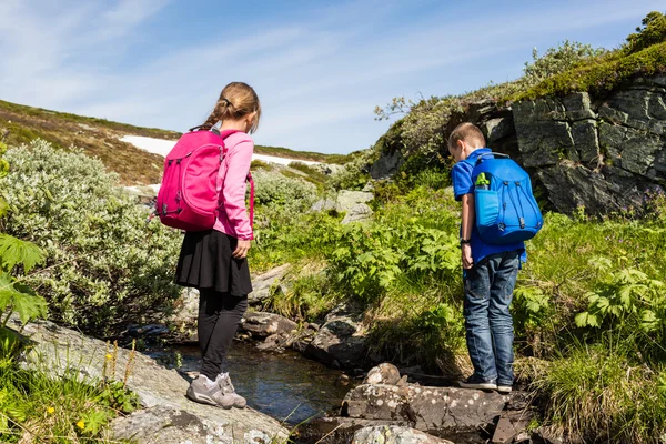 Kinderen wandelen in Noorwegen — Stockfoto