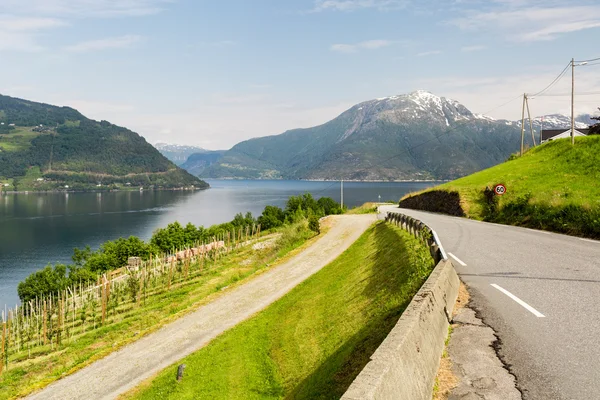 Landschap in de buurt van Hardangerfjord in Noorwegen — Stockfoto