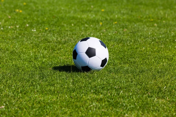 Зеленое поле с футбольным мячом — стоковое фото