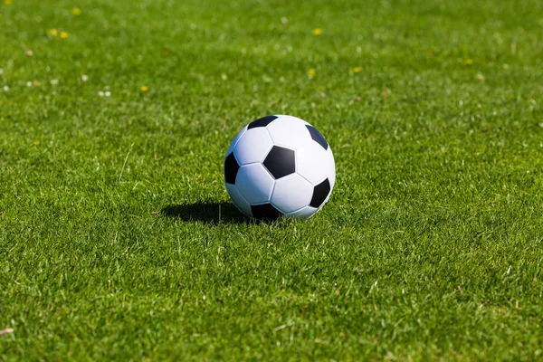 Futbol topu ile yeşil saha