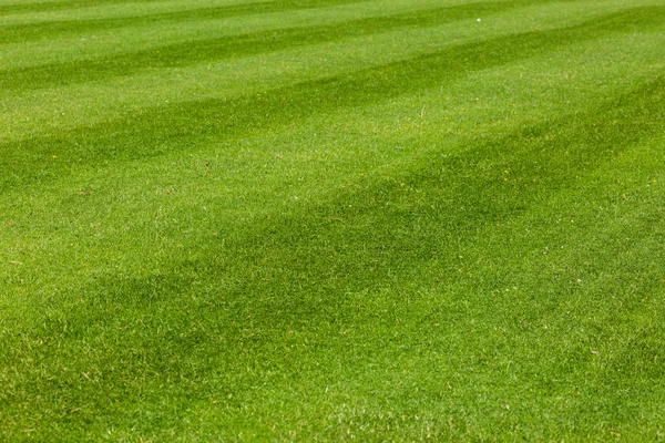 Campo da calcio — Foto Stock