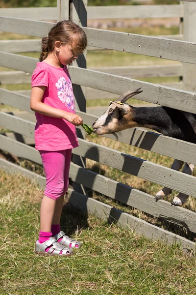 Young girl — Stock Photo, Image