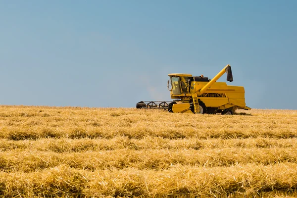 Harvester in action — Stock Photo, Image