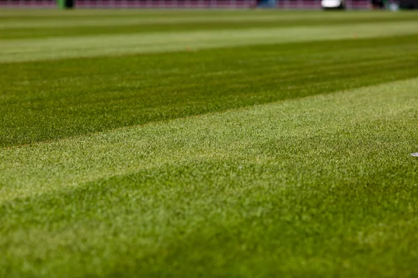 Soccer pitch — Stock Photo, Image