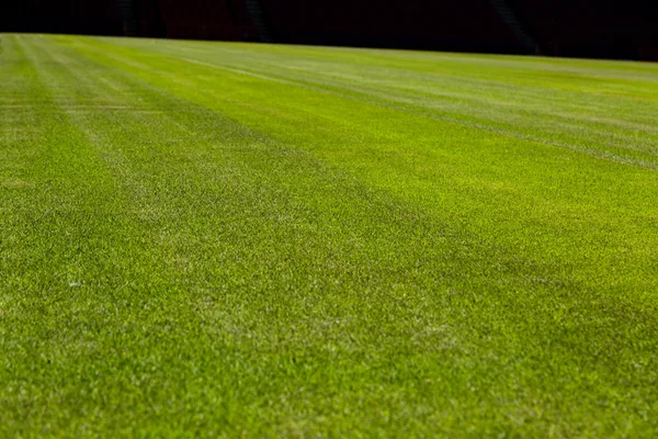 Soccer pitch — Stock Photo, Image