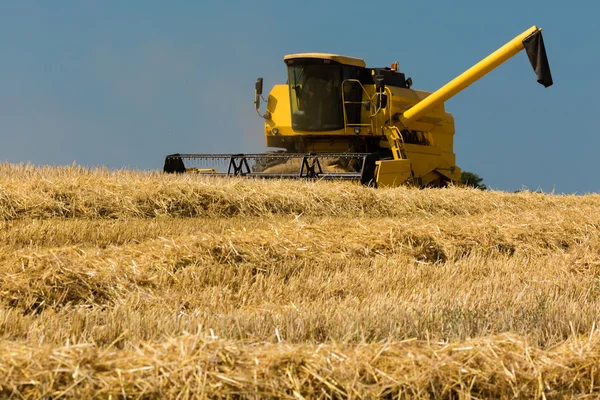 Yellow harvester — Zdjęcie stockowe