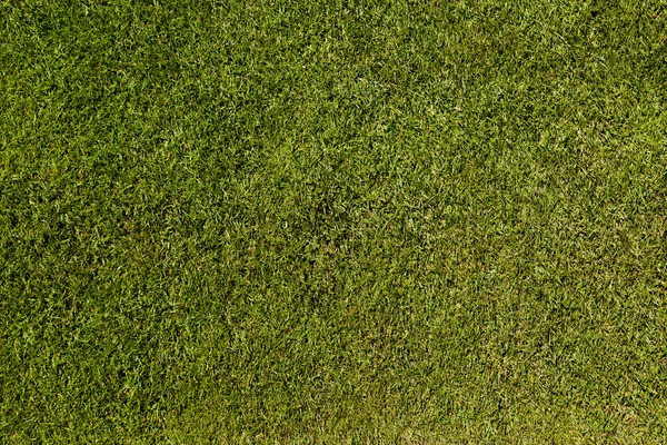 Soccer pitch — Stock Photo, Image