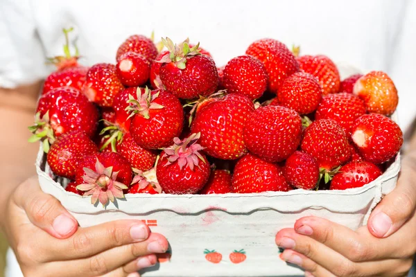 Nahaufnahme eines Mädchens mit einer Schachtel Erdbeeren — Stockfoto