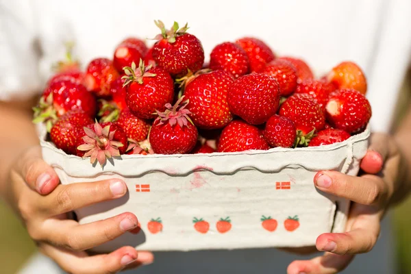 Närbild av flicka håller låda med jordgubbar — Stockfoto