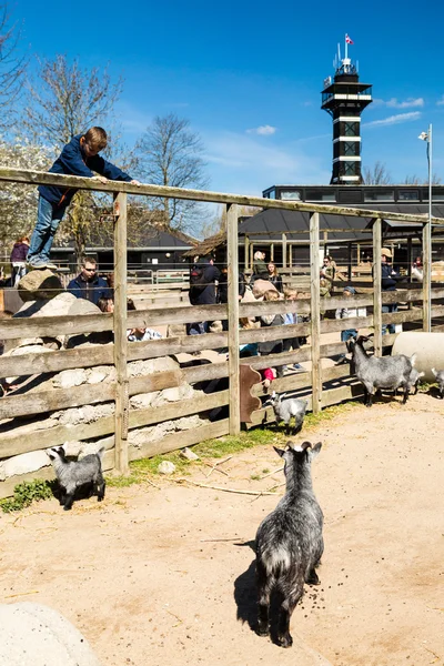 Copenhagen Zoological Garden — Stock Photo, Image