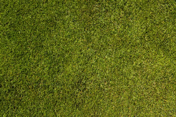 Soccer pitch — Stock Photo, Image