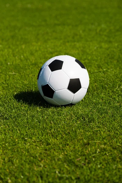 Futbol topu ile yeşil saha
