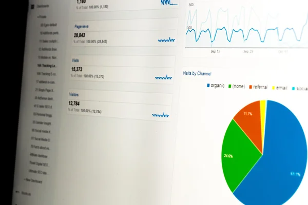 Close-up of web analytics dashboard — Stock Photo, Image