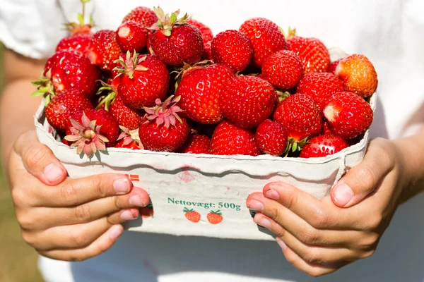 Schachtel mit frischen Erdbeeren — Stockfoto