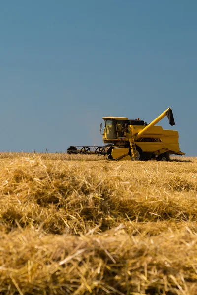 Harvester in action — Stock Photo, Image