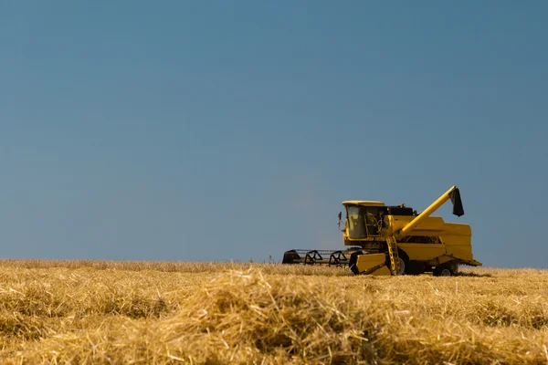 Harvesting crop — Stock Photo, Image