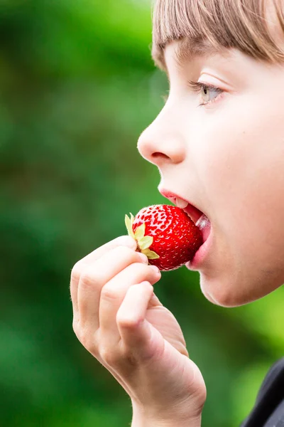 Dziewczynka jedzenie świeże czerwone truskawki — Zdjęcie stockowe