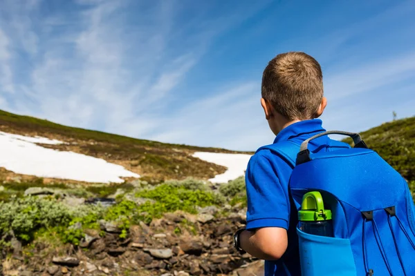 Pojke på resa i naturen — Stockfoto