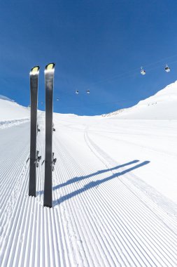 Kayak Takımı