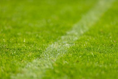 Futbol Çim closeup