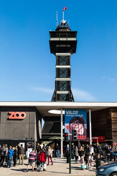 Copenhagen zoologisk trädgård — Stockfoto