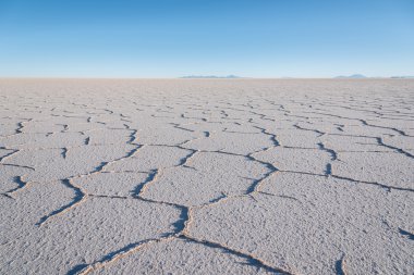 Altiplano tuz daireler