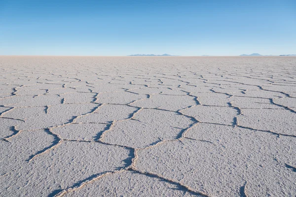 Altiplano tuz daireler