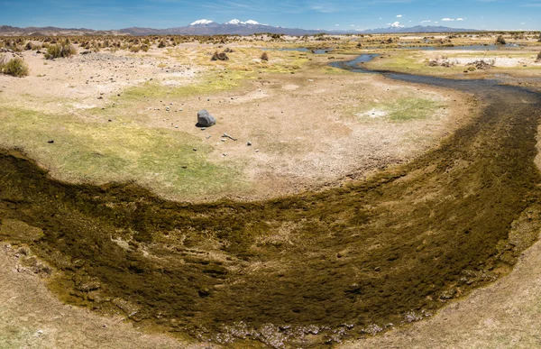 Riacho nas Montanhas do Altiplano — Fotografia de Stock