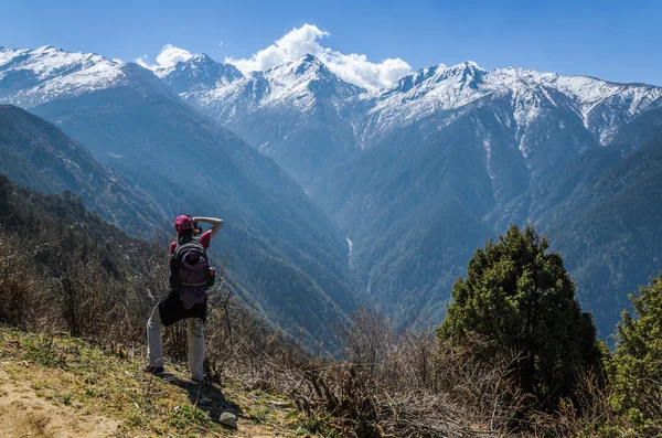 Himalaya-bjergene - Stock-foto
