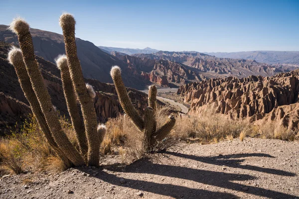 Montañas del Altiplano — Foto de Stock