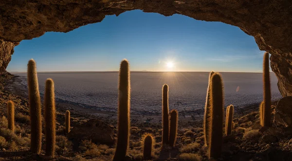 Nascer do sol sobre a ilha de Cactus — Fotografia de Stock