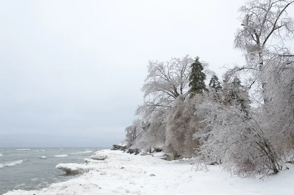 Frusna vinterlandskapet — Stockfoto