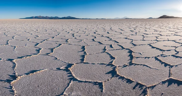 Tuz düzlükler üzerinde Altiplano