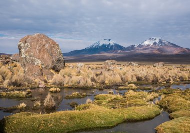Altiplano yanardağ