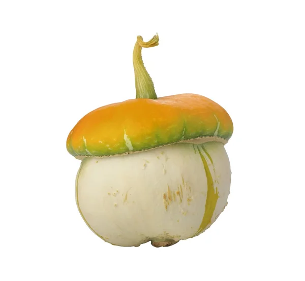 Calabaza decorativa en forma de hongo sobre fondo blanco — Foto de Stock