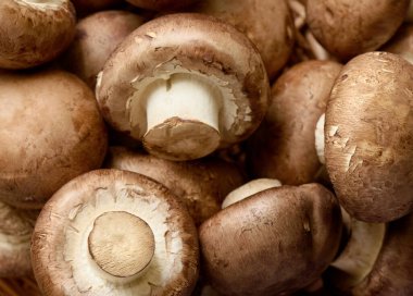 Taze şampiyon mantarları, makro, kenar görüş, arka plan, yüzeysel alan derinliği