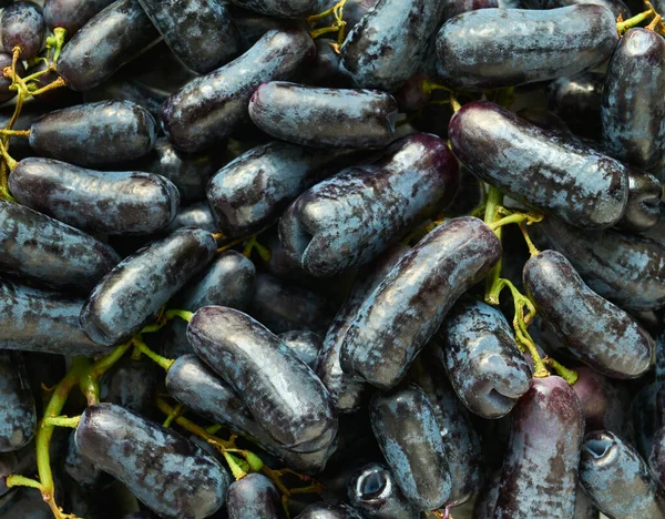 Tasty Black Ripe Sweet Sapphire Grapes Close Background — Stock Photo, Image