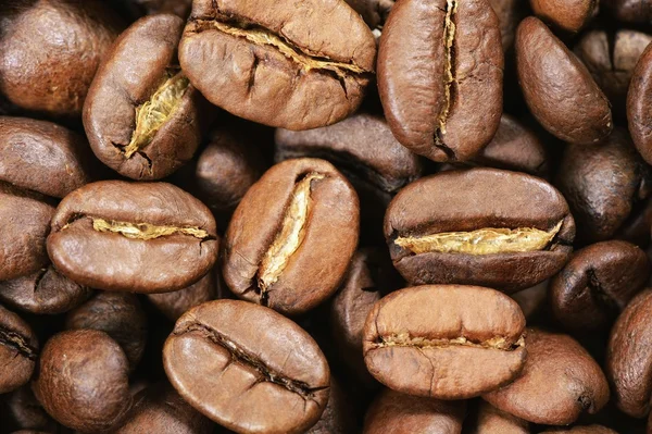 Coffee beans — Stock Photo, Image