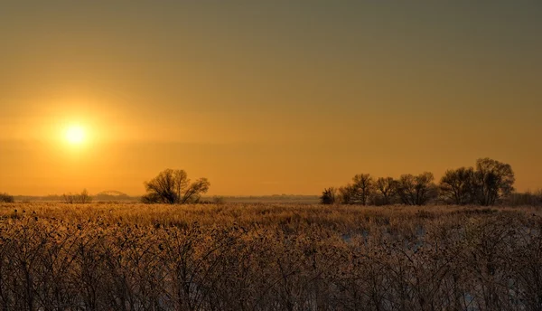 Tramonto invernale in periferia — Foto Stock