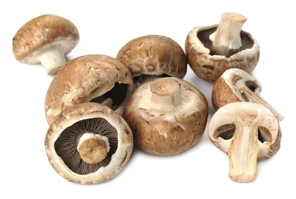 Champignon mushrooms on a white background — Stock Photo, Image