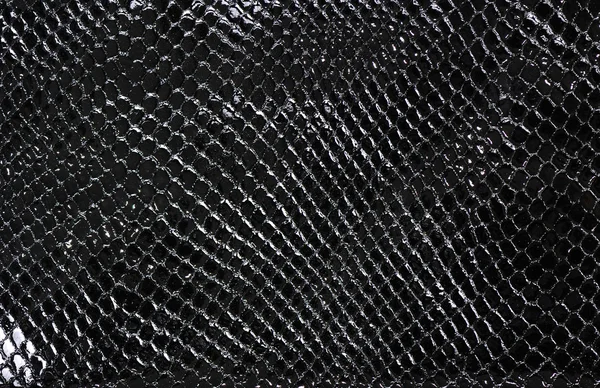 Lake siyah suni deri, arka plan