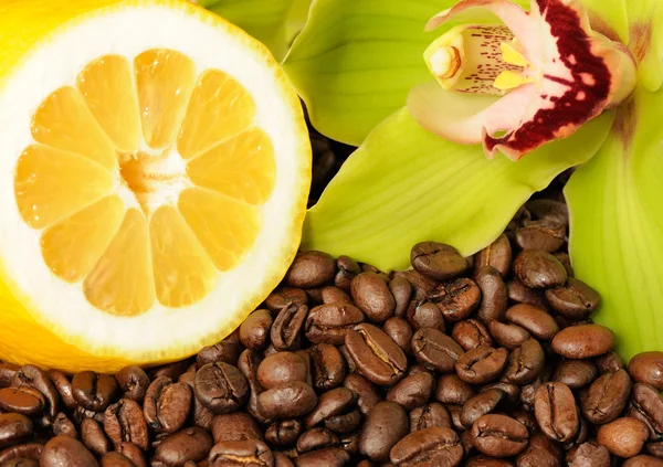 Lemon orchid and coffee beans — Stock Photo, Image