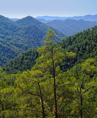 Troodos Dağları Kıbrıs'tan manzaralar