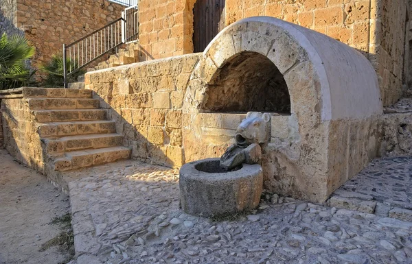 Древний источник древнего монастыря Айя-Напа — стоковое фото