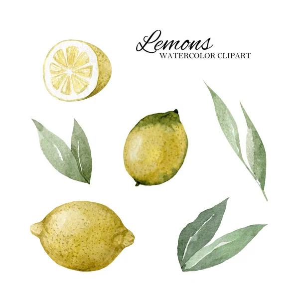 レモンと葉 水彩は白い背景に隔離されています 手描きのクリップアート 手作りイラスト — ストック写真