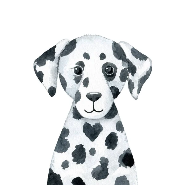 Cão Ilustração Aquarela Isolada Fundo Branco Personagem Cachorro Dalmatian Desenhado — Fotografia de Stock