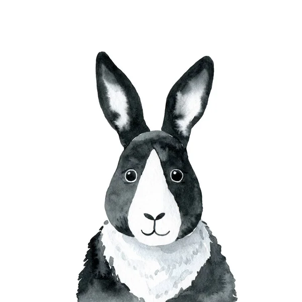 Conejo Ilustración Acuarela Aislada Sobre Fondo Blanco Personaje Conejo Dibujado —  Fotos de Stock